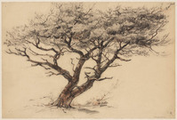 KT 1985 050
<br/>
Vliegden
<br/>
<em>Graaf, Frederik de (1871-1930)</em>